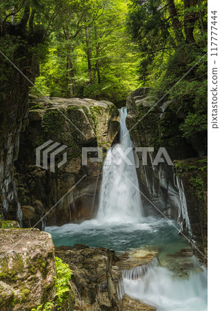 日本岐阜縣中津川市湯森公園的龍神瀑布 117777444