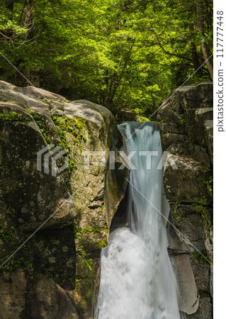Ryujin Falls in Yumori Park, Nakatsugawa City, Gifu Prefecture, Japan 117777448