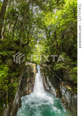 日本岐阜縣中津川市湯森公園的龍神瀑布 117777451