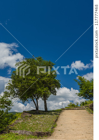 Naegi Castle in Nakatsugawa City, Gifu Prefecture, Japan 117777468