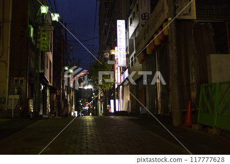 Nogemachi area at night 117777628