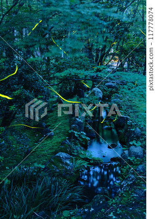 Fireflies dancing at night at Hodasan Soneiji Temple, one of the three mountains of Enshu, Fukuroi City, Shizuoka Prefecture, Japan 117778074
