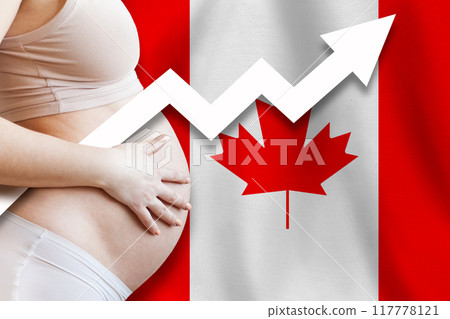 Demographics and pregnancy in Canada concept. Close-up of pregnant woman belly Demographics and pregnancy in Canada concept. Close-up of pregnant woman belly 117778121