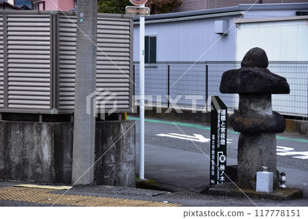 Fuji City: Tokaido road signposts and night lights 117778151