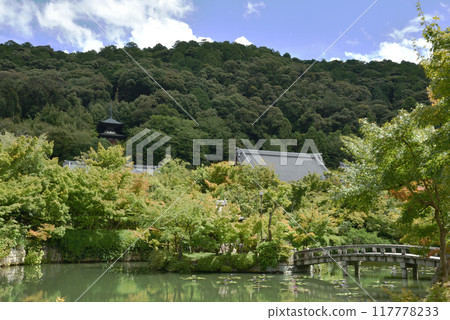 夏季永觀堂 - 從方成池眺望的禪林寺 夏季永觀堂 - 從方成池眺望的禪林寺 117778233