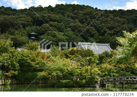 Eikando in summer: Zenrinji Temple seen from Hojoji Pond Eikando in summer: Zenrinji Temple seen from Hojoji Pond 117778234