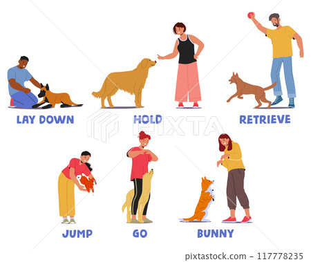 Dog Training Commands With Handlers Demonstrating Different Actions Such As Lay Down, Hold, Retrieve, Jump, Go 117778235