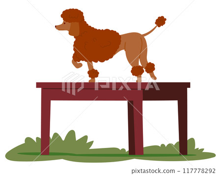Poodle Dog Standing On A Table During An Outdoor Training Session. Brown Poodle Is Depicted In A Cartoon Style Poodle Dog Standing On A Table During An Outdoor Training Session. Brown Poodle Is Depicted In A Cartoon Style 117778292