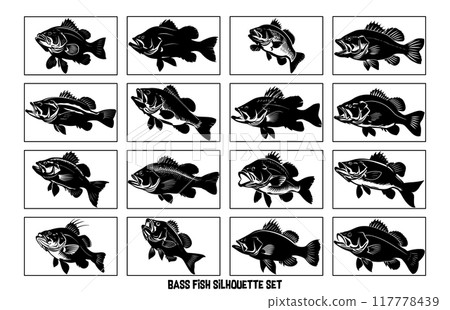 Bass fish silhouette art white background, black and white of largemouth bass fish Bass fish silhouette art white background, black and white of largemouth bass fish 117778439