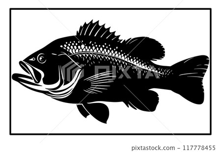 Bass fish silhouette art white background, black and white of largemouth bass fish Bass fish silhouette art white background, black and white of largemouth bass fish 117778455