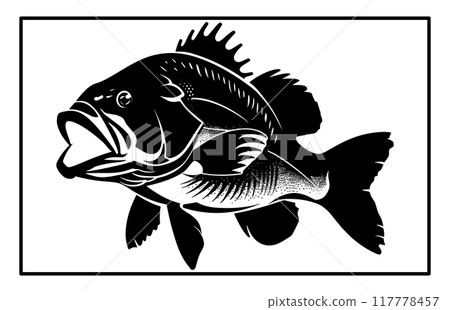 Bass fish silhouette art white background, black and white of largemouth bass fish Bass fish silhouette art white background, black and white of largemouth bass fish 117778457