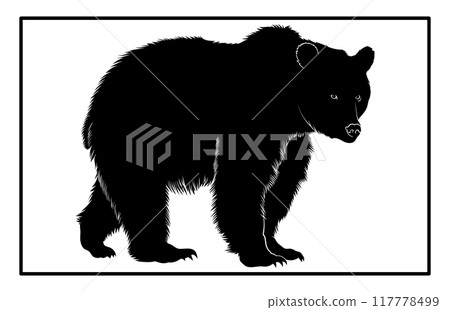 Bear animal silhouette. Bear symbol isolated illustration, 117778499