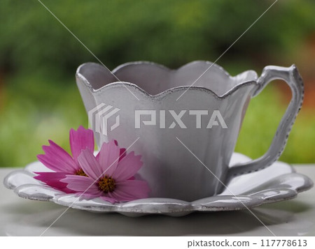 秋天的茶時間 秋天的櫻花和紅茶 秋天的茶時間 秋天的櫻花和紅茶 117778613