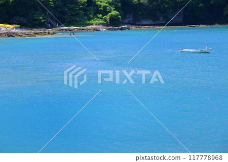 夏季的小次郎灣/Seabonia 夏季的小次郎灣/Seabonia 117778968