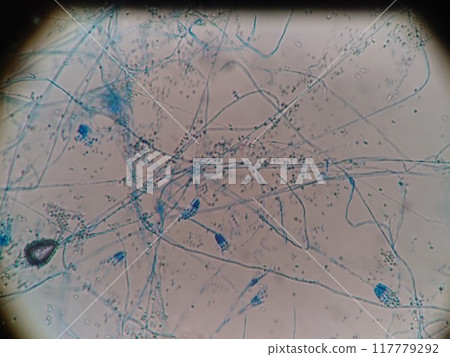 Water droplets attached to the glass 117779292