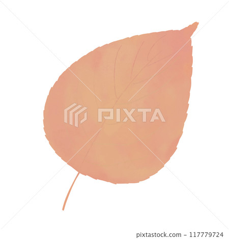 Illustration of autumn leaves 117779724
