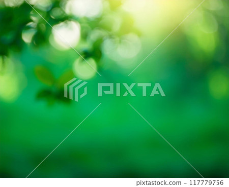 Image of a green blurred background 117779756