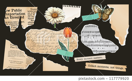 A set of torn paper, a collage of notebook sheets, an old newspaper. stamp butterfly and flower, vintage scrapbook. Paper cut elements 117779920