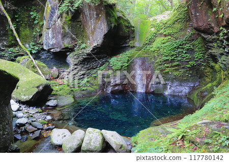 栃木的壯麗景色 栃木的壯麗景色 117780142