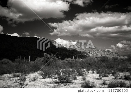 San Tan Mountains Sonora Desert Arizona San Tan Mountains Sonora Desert Arizona 117780303