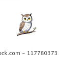 Owl illustration 117780373