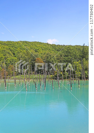 Platinum Blue Pond 117780402