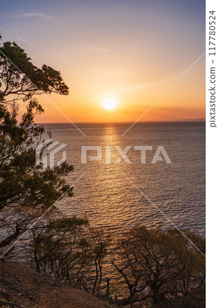 [靜岡縣]從西伊豆小金崎看到的日落（夕陽） 117780524