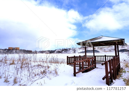 冬天的春取湖（北海道釧路市） 117781257