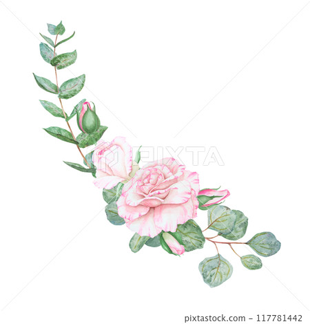 Light pink rose and eucalyptus. Watercolor botanical illustration. Hand drawn clipart, cut out and isolated. Realistic flower frame for delicate wedding prints, cards. Romantic design element. 117781442