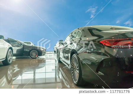 new car in the car dealership showroom with blue sky new car in the car dealership showroom with blue sky 117781776