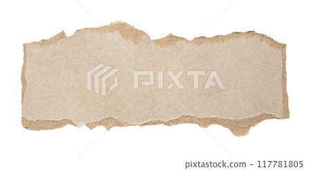 piece of gray paper tear isolated on white background 117781805