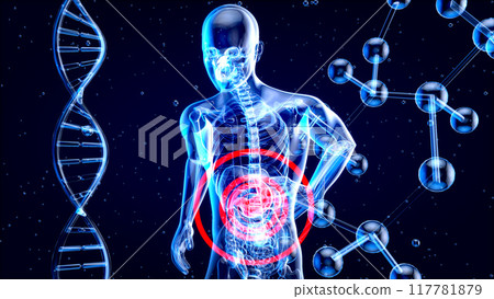 Abstract anatomy design of the stomach 117781879