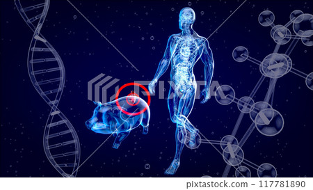Abstract 3D illustration of a pig heart transplantation Abstract 3D illustration of a pig heart transplantation 117781890