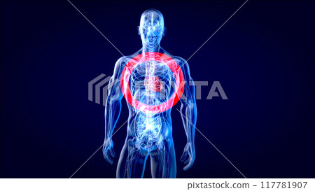 Abstract 3D illustration of a pig heart transplantation 117781907