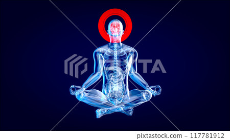 3D Creative abstract zen man in Xray 3D Creative abstract zen man in Xray 117781912