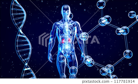 Abstract motion design of backpain and kidneys 117781914
