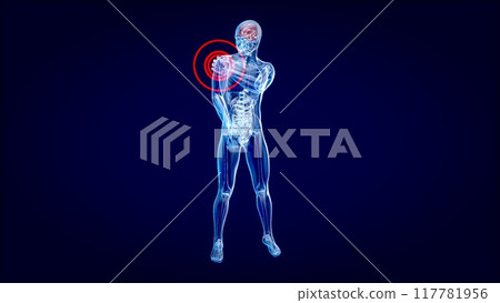 4K anatomy concept of a shoulder pain 117781956