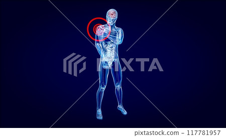 4K anatomy concept of a shoulder pain 117781957