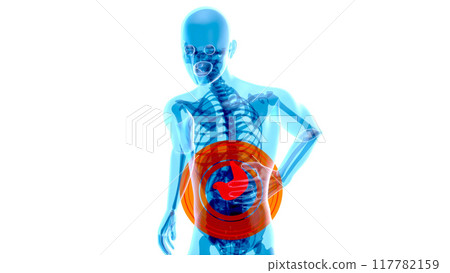 Abstract motion design of the stomach 117782159