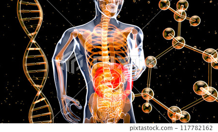 Abstract motion design of the stomach 117782162