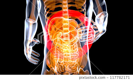 Abstract motion design of the stomach Abstract motion design of the stomach 117782171