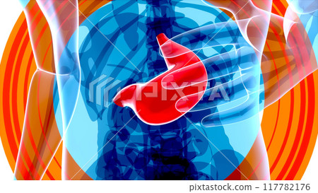 Abstract motion design of the stomach Abstract motion design of the stomach 117782176