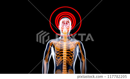 3D Anatomy concept of a Xray man 117782205