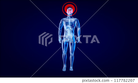 3D Anatomy concept of a Xray man 117782207