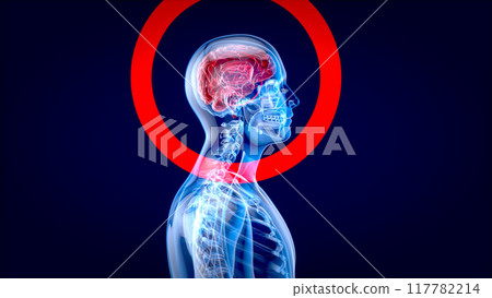 3D Anatomy concept of a Xray man 3D Anatomy concept of a Xray man 117782214