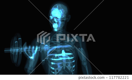 Abstract 3D anatomy of a man doing biceps curls 117782221