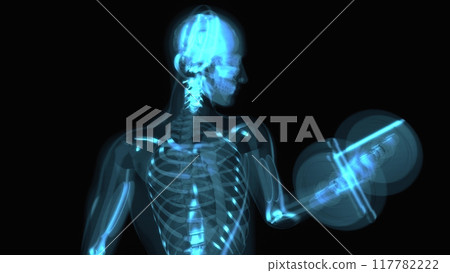 Abstract 3D anatomy of a man doing biceps curls 117782222