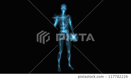 Abstract 3D anatomy of a man doing biceps curls Abstract 3D anatomy of a man doing biceps curls 117782226