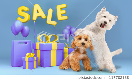 Creative collage. Two purebred dogs standing next to purple balloons and presents, with the word SALE written in large letters above them. 117782588