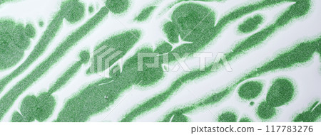 Abstract fluid art background green and white colors. Liquid marble. Acrylic Abstract fluid art background green and white colors. Liquid marble. Acrylic 117783276